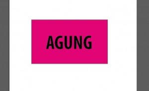 agunsgberkjlhberwhfgbvfikwbfjwbwbfjuewfiewbfievbwkwiferbjuferfef