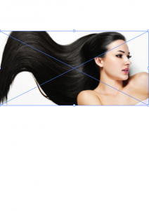 Memberi-Efek-Arsir-Pada-Gambar-Dengan-Adobe-Illustrator-01112016-gari6