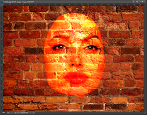 memberi-efek-kamuflase-pada-gambar-dengan-menggunakan-adobe-photoshop-part4-31122016-gari1