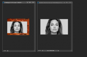 memberi-efek-kamuflase-pada-gambar-dengan-menggunakan-adobe-photoshop-part2-29122016-gari3