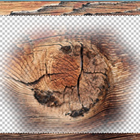Cara Membuat Custom Brush Photoshop dari Foto
