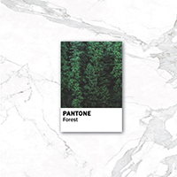 Tutorial Membuat Pantone Dengan Mudah