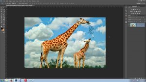 Membuat Icon Gambar Custom Shape di Adobe Photoshop Part 2