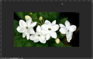 Seleksi Objek Warna yang Sama dengan Bantuan Grow dan Similar