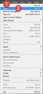 Seleksi Objek dengan Bantuan Color Range di Photoshop