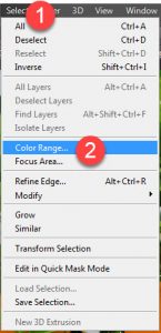 Seleksi Objek dengan Bantuan Color Range di Photoshop