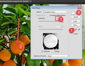 Seleksi Objek dengan Bantuan Color Range di Photoshop