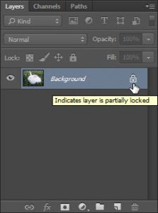 Seleksi Objek menggunakan Bantuan Fitur Channel di Adobe Photoshop Part 2