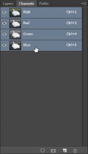 Seleksi Objek menggunakan Bantuan Fitur Channel di Adobe Photoshop