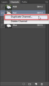 Seleksi Objek menggunakan Bantuan Fitur Channel di Adobe Photoshop