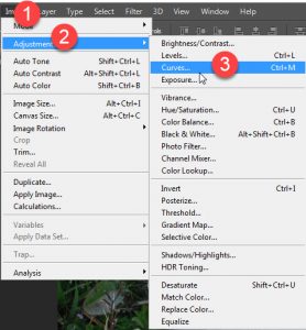 Seleksi Objek menggunakan Bantuan Fitur Channel di Adobe Photoshop Part 2