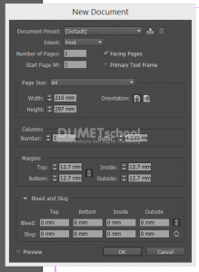 Cara Membuat Bayangan Mirror Berwarna Pada Teks Di Indesign-1