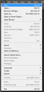 Cara Merubah Path Menjadi Seleksi dan Shape Di Adobe Photoshop
