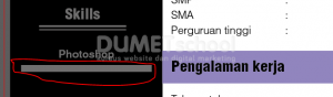 Cara Membuat Curriculum Vitae Sederhana Dengan Illustrator-17