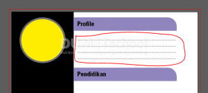Cara Membuat Curriculum Vitae Sederhana Dengan Illustrator-8