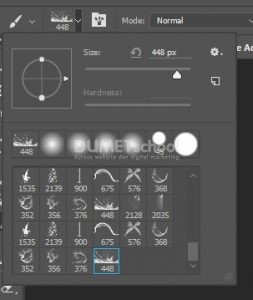 Cara Menginstall Custom Brush Tool di Sofware Adobe Photoshop