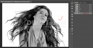 Cara Cepat Seleksi Detail Rambut Dengan Photoshop-4