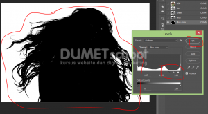 Cara Cepat Seleksi Detail Rambut Dengan Photoshop-5