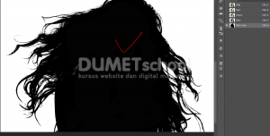 Cara Cepat Seleksi Detail Rambut Dengan Photoshop-6