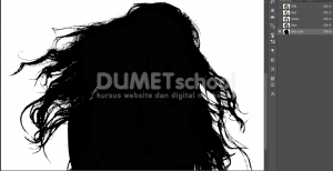 Cara Cepat Seleksi Detail Rambut Dengan Photoshop-8