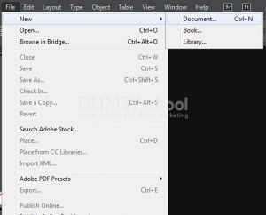 Mengenal Clipping Path pada Software Pengolah Gambar Adobe Indesign