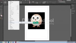 Mengenal Clipping Path pada Software Pengolah Gambar Adobe Indesign