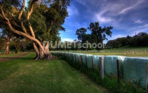Cara Memberikan Bayangan Pada Software Pengolah Gambar Adobe Photoshop