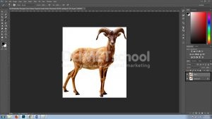 Cara Memberikan Bayangan Pada Software Pengolah Gambar Adobe Photoshop