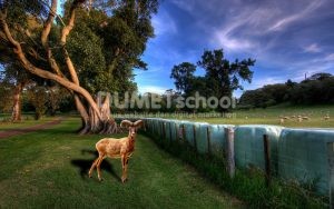 Cara Memberikan Bayangan Pada Software Pengolah Gambar Adobe Photoshop Part2