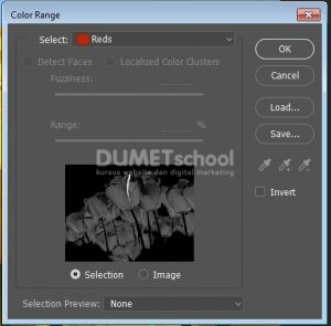 Seleksi Objek Dengan Cepat Berkat Bantuan Color Range di Photoshop