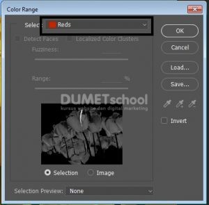 Seleksi Objek Dengan Cepat Berkat Bantuan Color Range di Photoshop