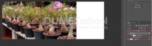 Cara Membuat Header Facebook Fanpage Elegan-4