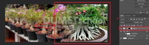 Cara Membuat Header Facebook Fanpage Elegan-6