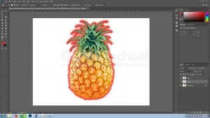 Mengenal Modifikasi Seleksi pada Software Pengolah Gambar Adobe Photoshop Part2