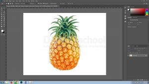 Mengenal Modifikasi Seleksi pada Software Pengolah Gambar Adobe Photoshop Part2