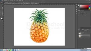 Mengenal Modifikasi Seleksi pada Software Pengolah Gambar Adobe Photoshop Part2
