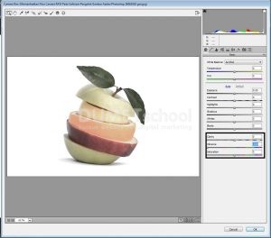 Memanfaatkan Fitur Camera RAW Pada Software Pengolah Gambar Adobe Photoshop