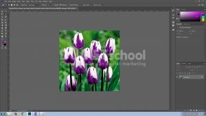 Merubah Warna dengan Cepat pada Software Pengolah Gambar Adobe Photoshop