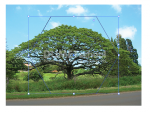 Cara Menambah Area Clipping Mask Di Illustrator - 4