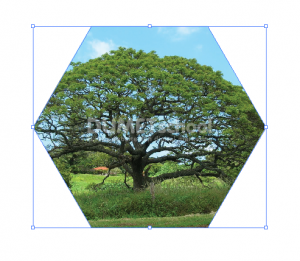 Cara Menambah Area Clipping Mask Di Illustrator - 5