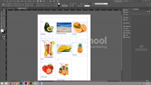 Cara Menyusun Gambar Katalog Dengan Cepat di Adobe Indesign