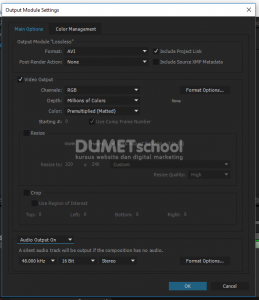 Cara Mengatasi Audio Preview pada Software Adobe After Effect