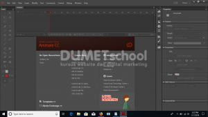 Cara Merubah Garis Stroke Menjadi Fills di Adobe Animate