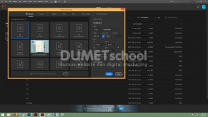 Cara Membuat Diagram Pie pada Software Pengolah Gambar Adobe Illustrator-01