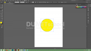 Cara Membuat Diagram Pie pada Software Pengolah Gambar Adobe Illustrator-01