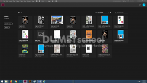 Cara Mengetahui Fungsi sebuah Tool di Adobe Indesign Bagi Pemula
