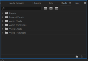 Cara Membuat Video Blur di Adobe Premiere