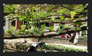 Cara Menggunakan Effect dan Presets di Adobe After Effect