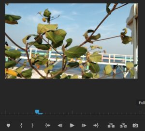 Cara Menggunakan Capture Video di Adobe Premier Pro