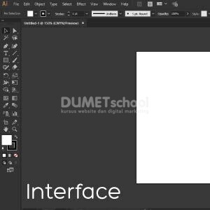 Kursus Adobe Illustrator private online